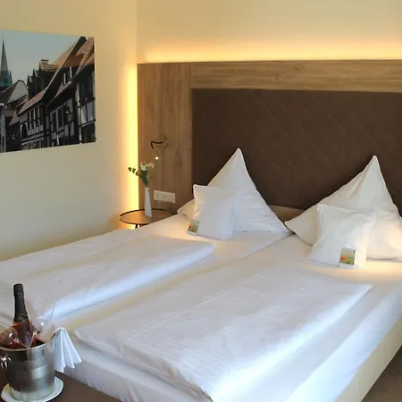 Hotel Ringhotel Am Stadtpark 4*