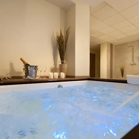 Ringhotel Am Stadtpark מלון 4*